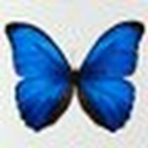 Meet your Posher, Terrie